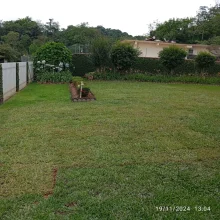 WhatsApp Image 2025-02-07 at 13.18.49