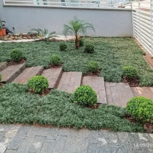 WhatsApp Image 2025-02-07 at 13.18.50