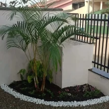 WhatsApp Image 2025-02-07 at 13.18.51 (3)