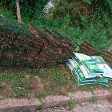 WhatsApp Image 2025-02-07 at 13.18.51